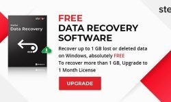 Recover Lost Files after System Restore in Windows 11